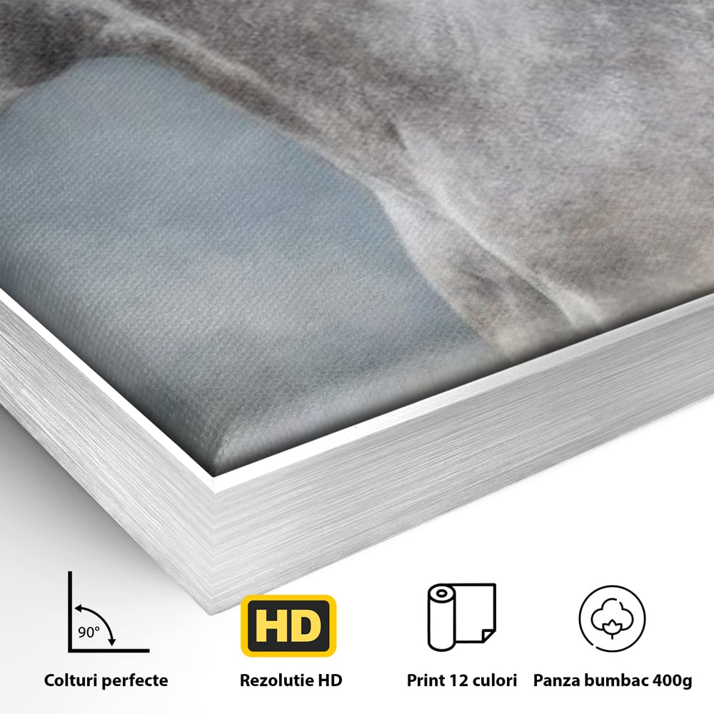 Detaliu al suprafetei: tablou canvas cu armasar in miscare, in rama de aluminiu argintiu